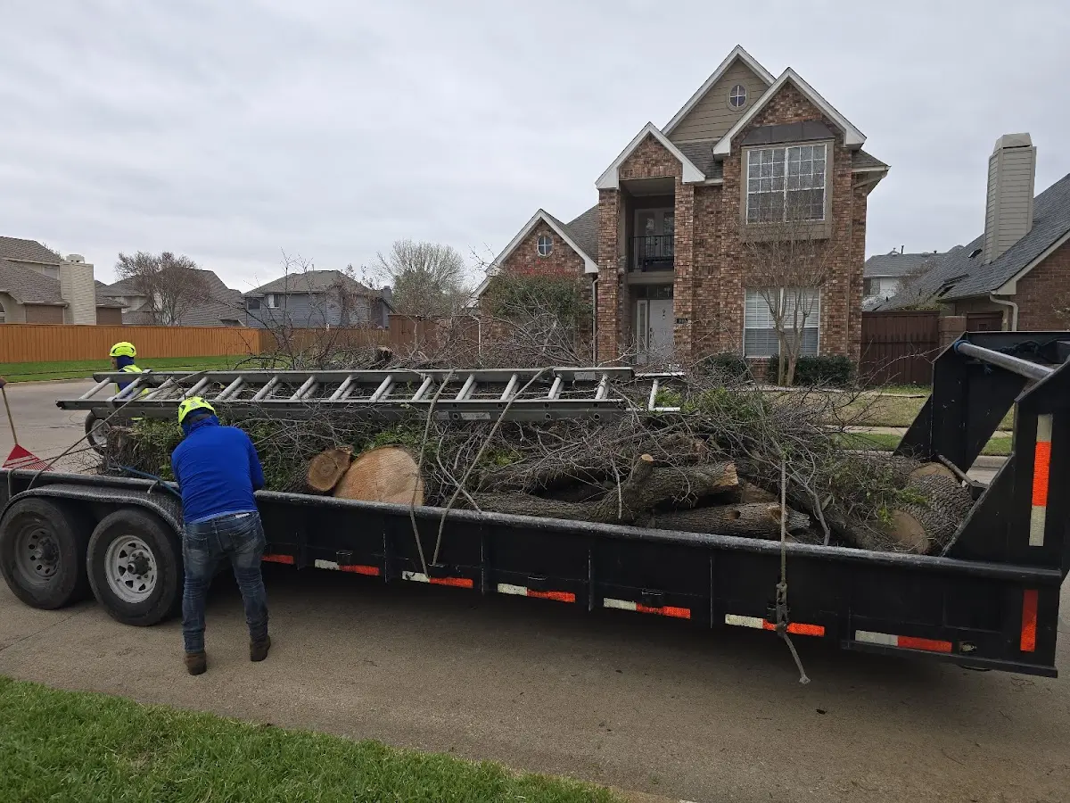 Expert Tree Pest Control with proper safety equipment in Woodstock